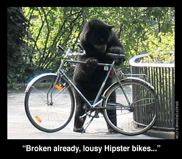 funny bear bike humor hipster